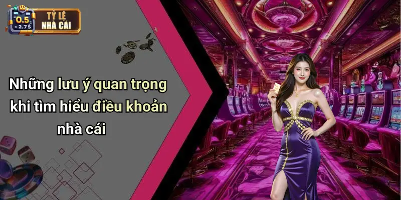 Những lưu ý quan trọng khi tìm hiểu điều khoản nhà cái