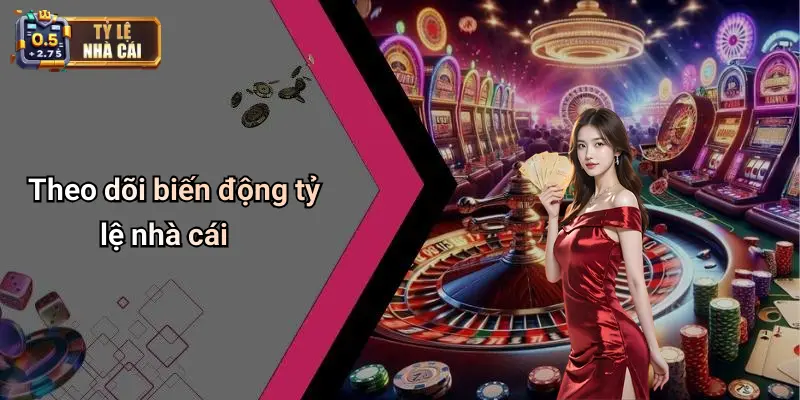 Theo dõi biến động tỷ lệ nhà cái