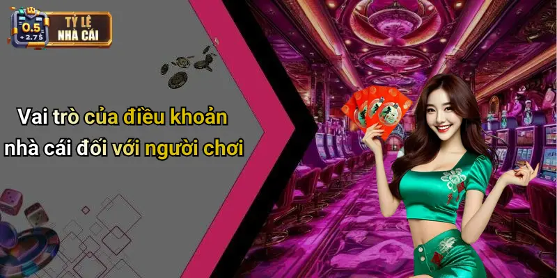 Vai trò của điều khoản nhà cái đối với người chơi