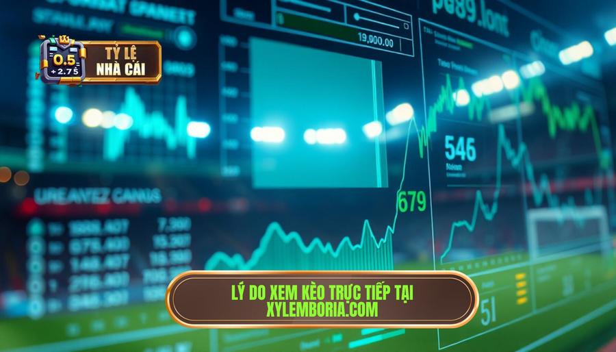 Tại sao nên theo dõi kèo trực tiếp đang diễn ra tại xylemboria.com?