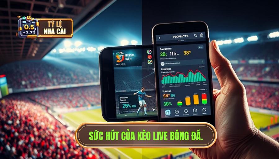 Tại sao kèo live bóng đá hôm nay lại thu hút người chơi?