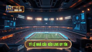 Kèo Live Bóng Đá Hôm Nay: Nghệ Thuật Đọc Vị Trận Đấu Và Bí Quyết Chiến Thắng